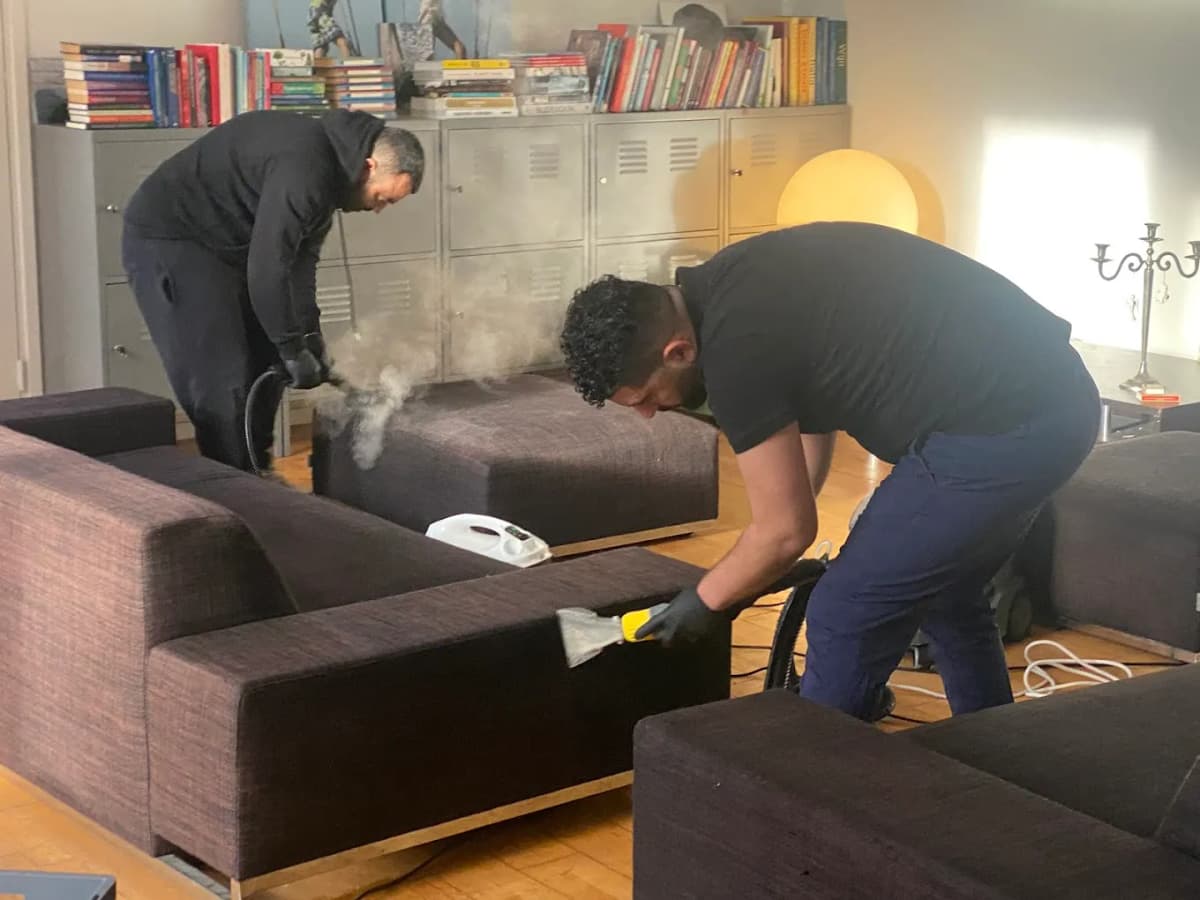 Especialista limpiando un sofá